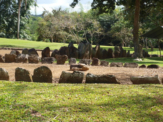 Trip Advisor Caguan
