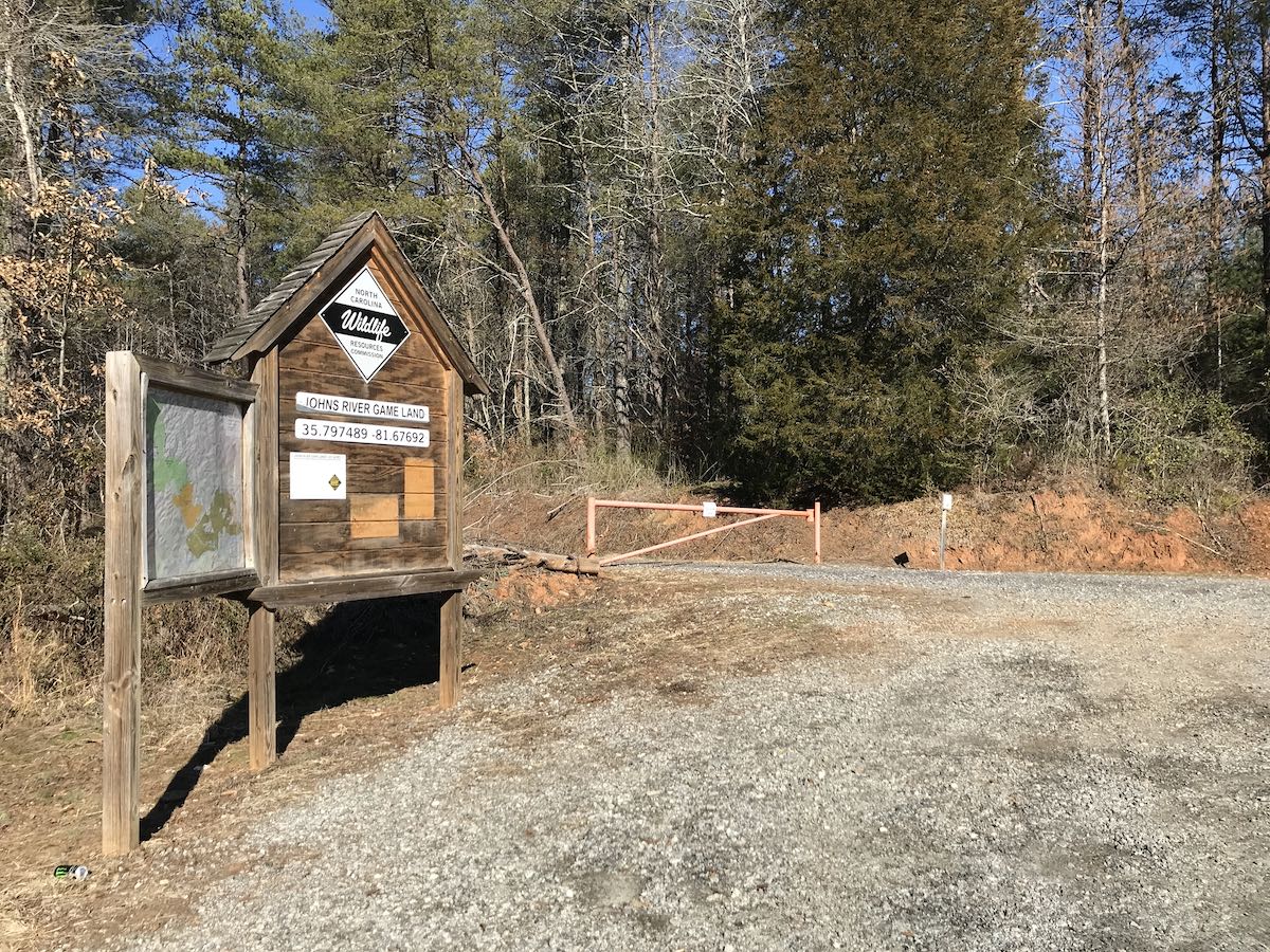 amateur photos image