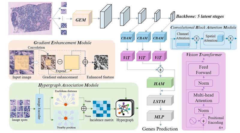 Issues Qsong Github Antiformer Github - Creative Gradient Illustration - 4K