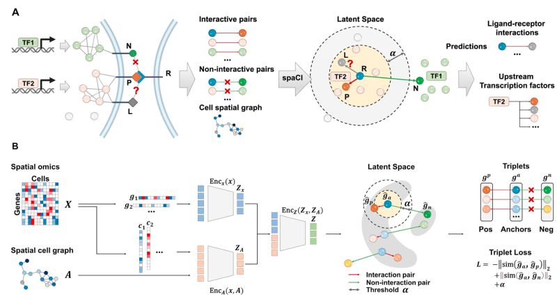 Issues Qsong Github Antiformer Github - Modern Colorful Image - Desktop