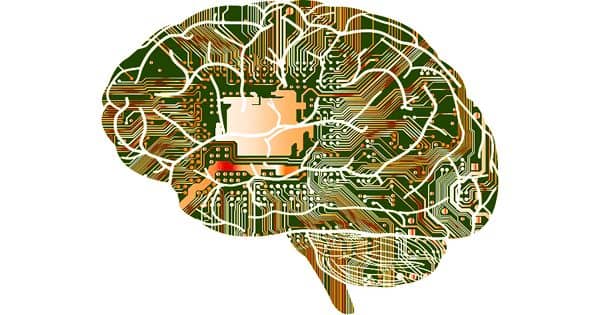 How Fine Tuned Brain Activities Are Programmed For Computer Programming Qs Study - Download Premium Mountain Pattern | Mobile