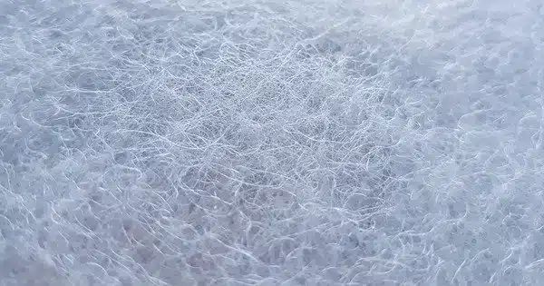 Polyamide - Minimal Design Collection - 8K Quality