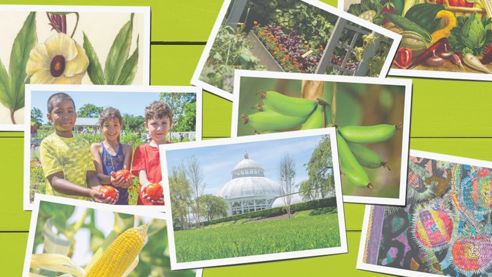 New York Botanical Garden Announces Its Major Exhibition for 2022