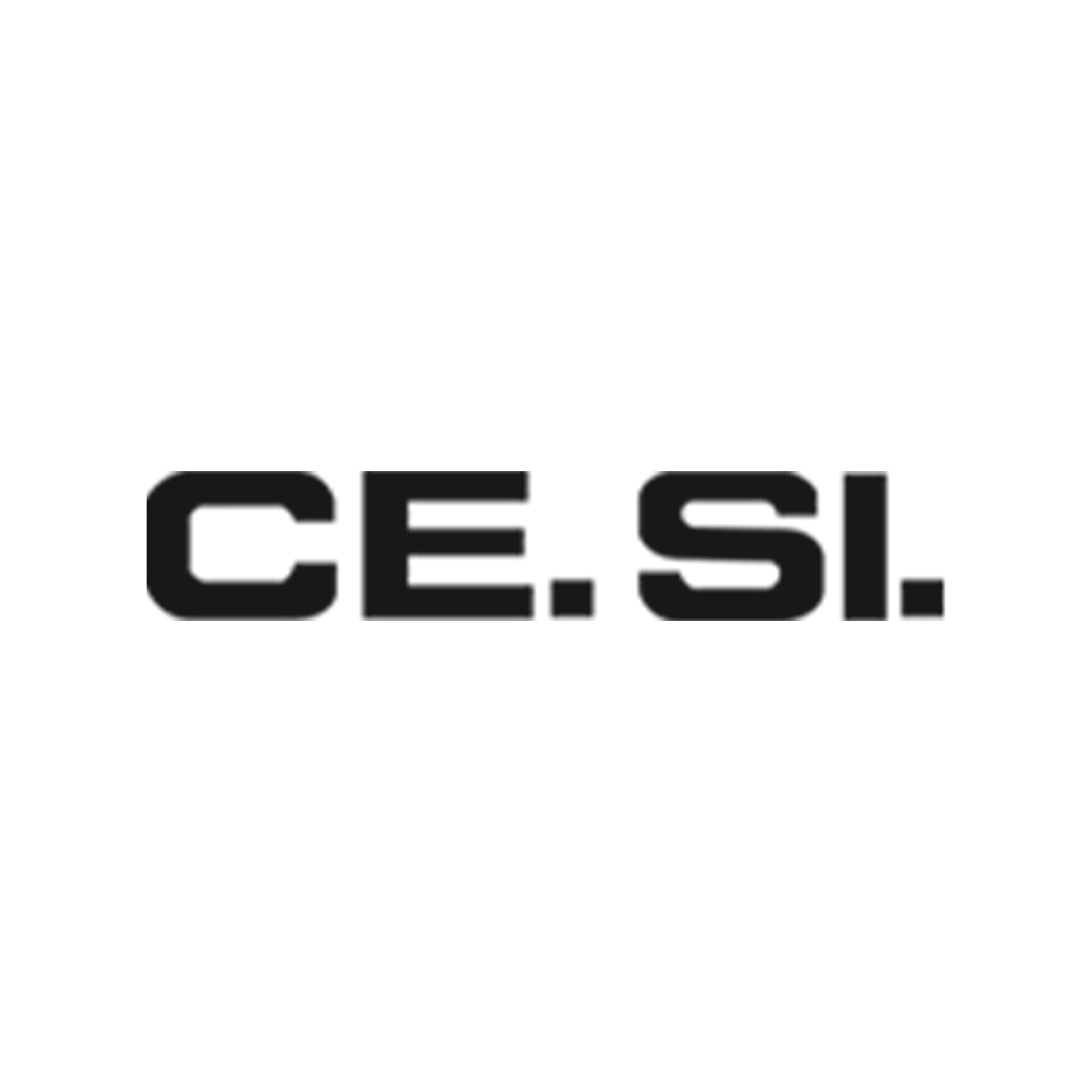 CE SI