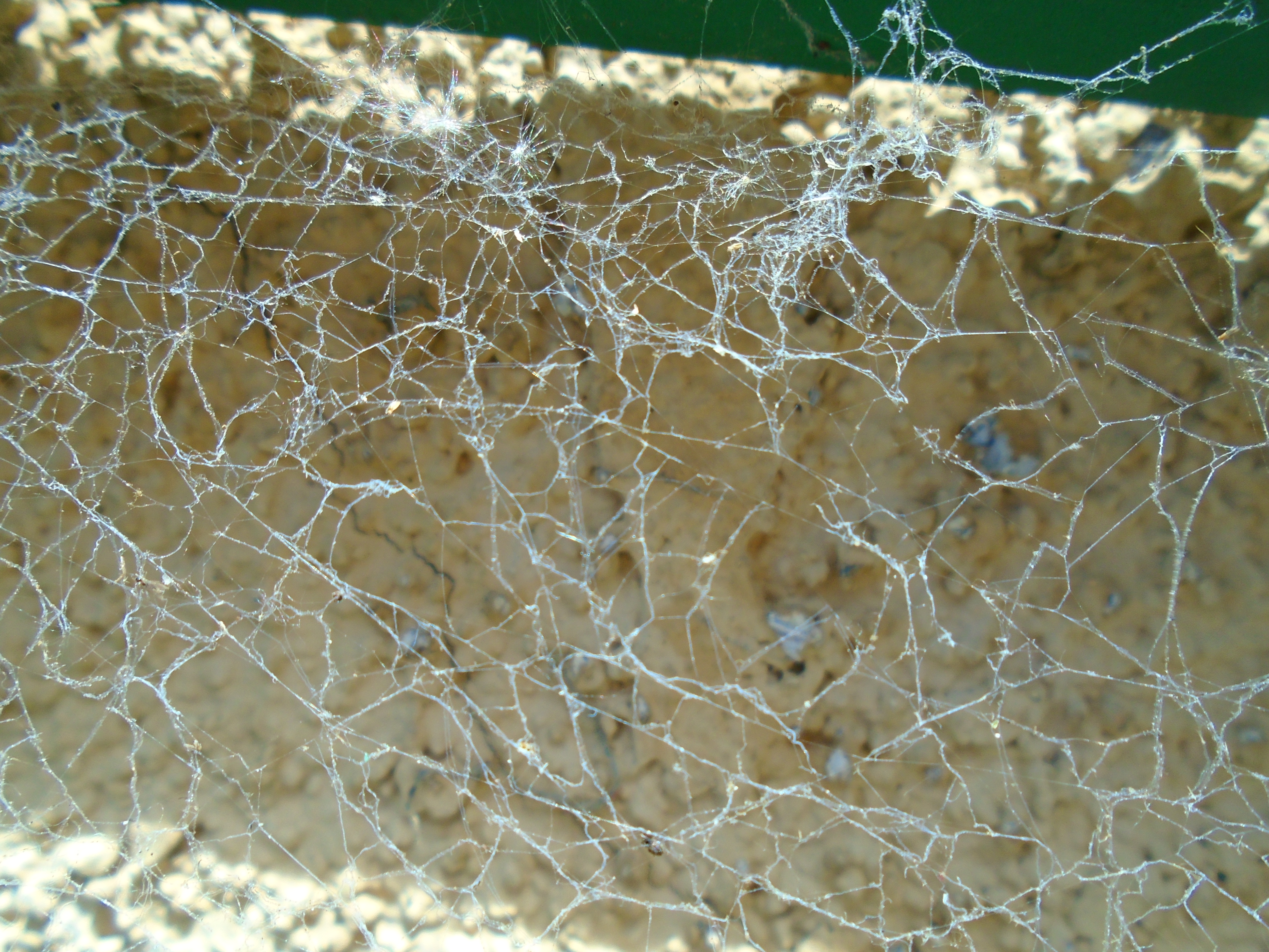 DSC01194