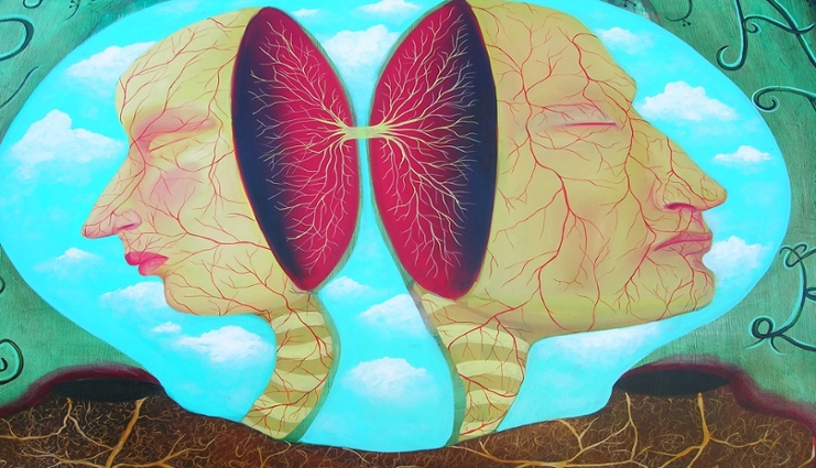 Wada Test + Phenomenal Puzzles: Testing the Independent Consciousness ...