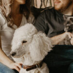 AKC Pet Insurance Review | LendEDU AKC Pet Insurance Review | LendEDU