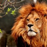 What Is MoneyLion? What You Need to Know in 2025