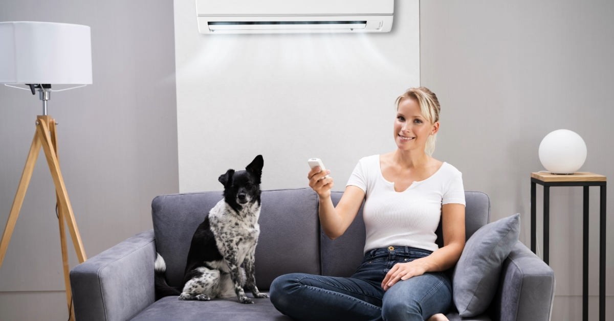 Keep Your Cool: A Pet Owner's Guide to Smarter AC Care