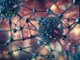 Quantum Simulation Algorithms Quantumexplainer