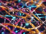 Quantum Computing Fundamentals