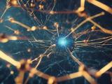 Optimizing Quantum Computing Algorithms With Quantum Artificial