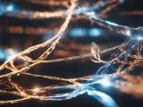 Quantum Random Walk Algorithm Quantumexplainer