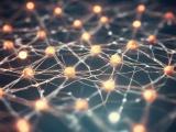 Quantum Many Body Theory Quantumexplainer