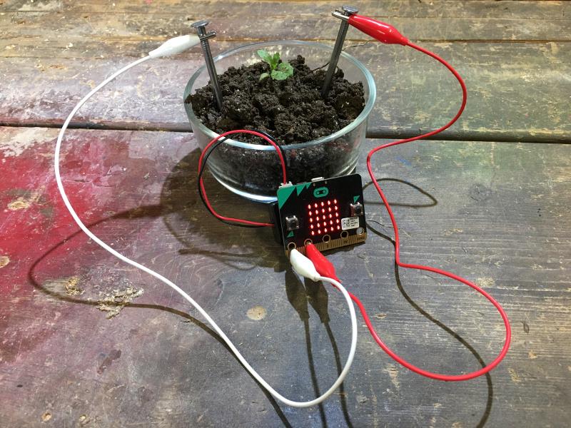 Quantum Makers Studio TikTok Workshop