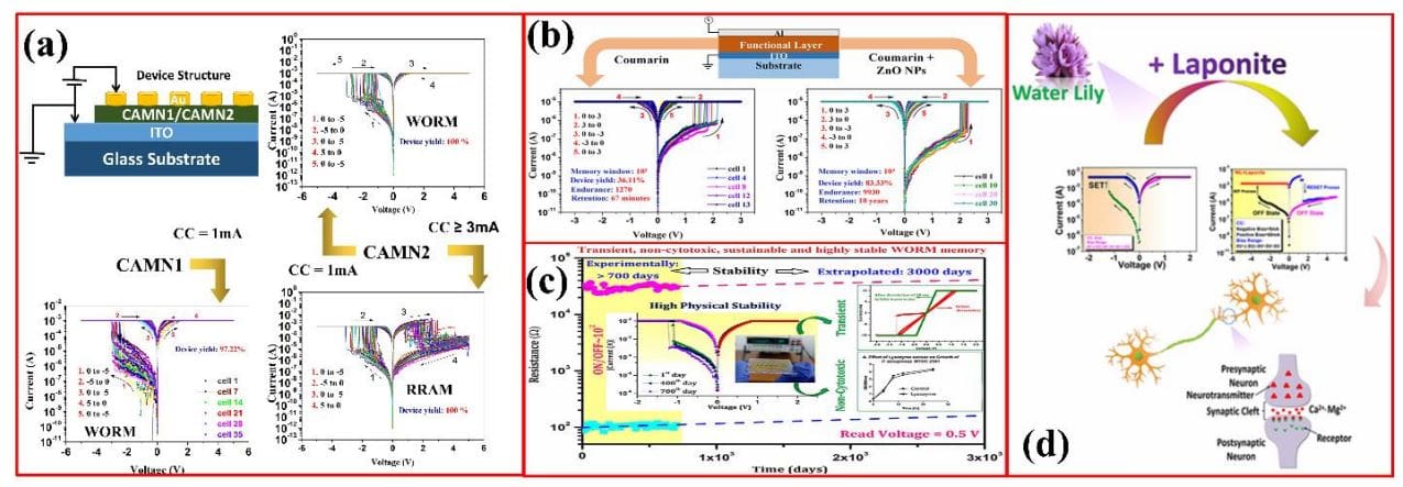 The Future of Memory Storage: Bio-Organic Materials Revolutionize Resistive Switching (2026)