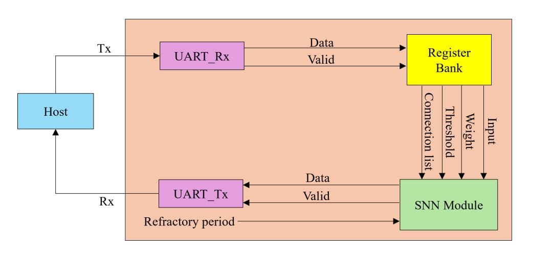 Revolutionizing AI: Low-Cost Neuromorphic Processor on FPGA for Real-Time Spiking Neural Networks (2026)