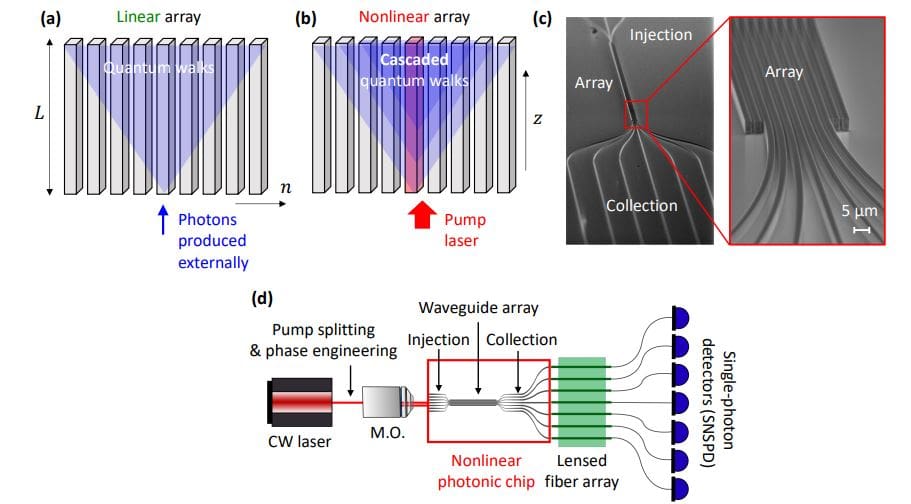 Revolutionizing Quantum Photonics: Tailored Quantum Walks in Integrated Photonic Lattices (2026)
