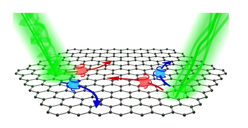 Controlling Charge and Spin Currents with Structured Light in 2D Materials (2026)