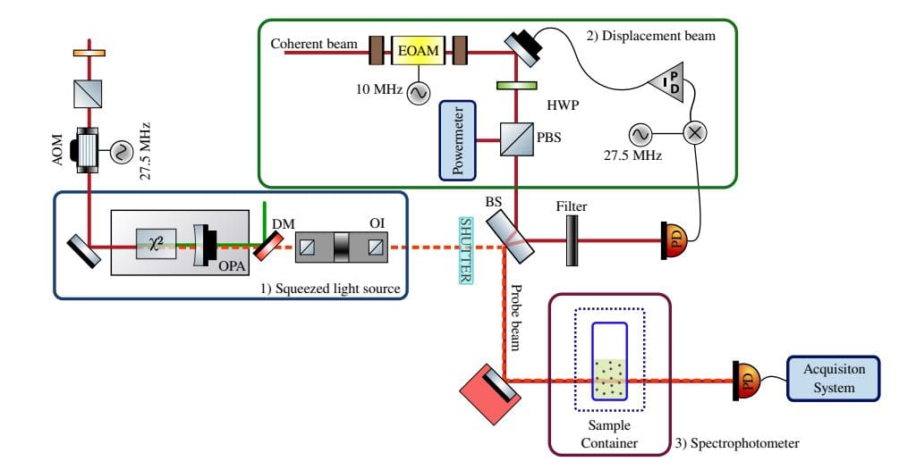 Quantum Biosensing Revolution: Detecting Bacterial Growth 30 Minutes Faster (2026)