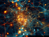 Quantum Computing S Dimensionality Curse Distributed Computing And