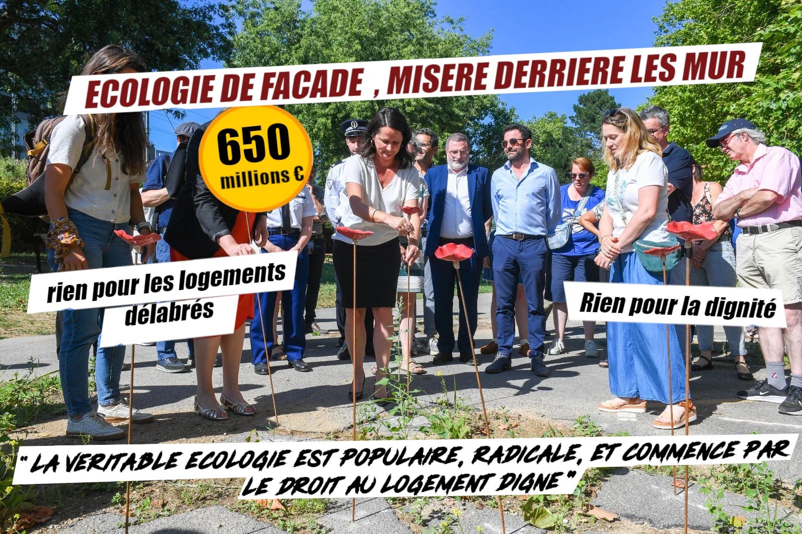 johanna_rolland_plante_choux