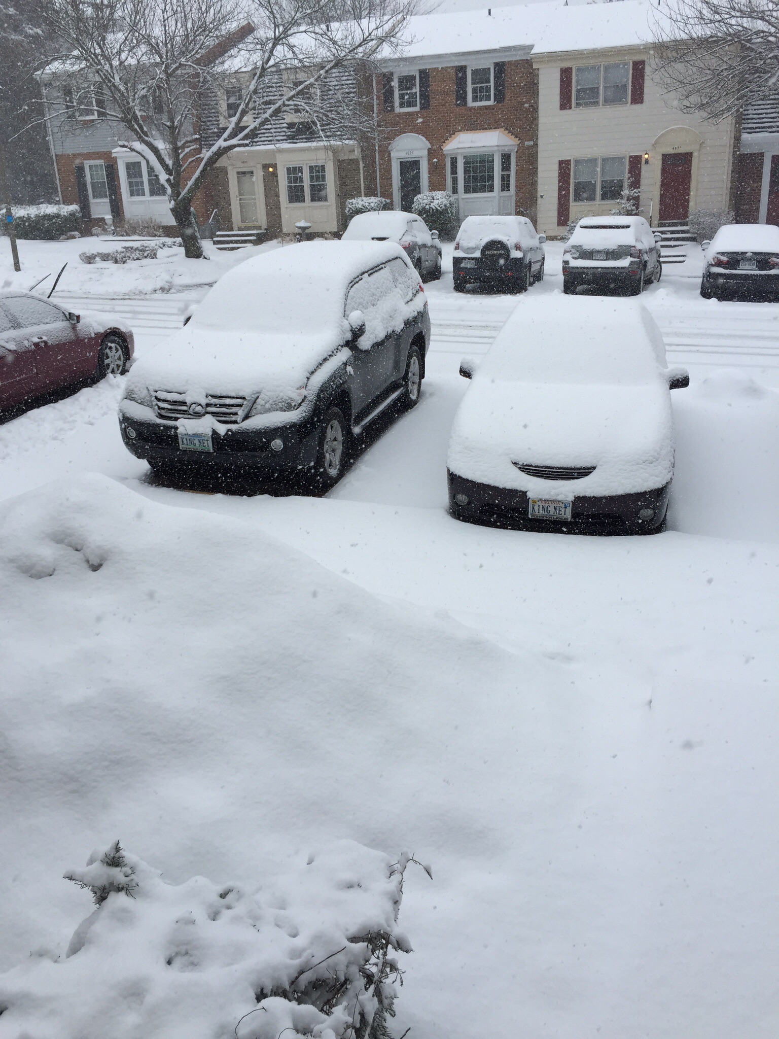 QUE.COM Snow in March