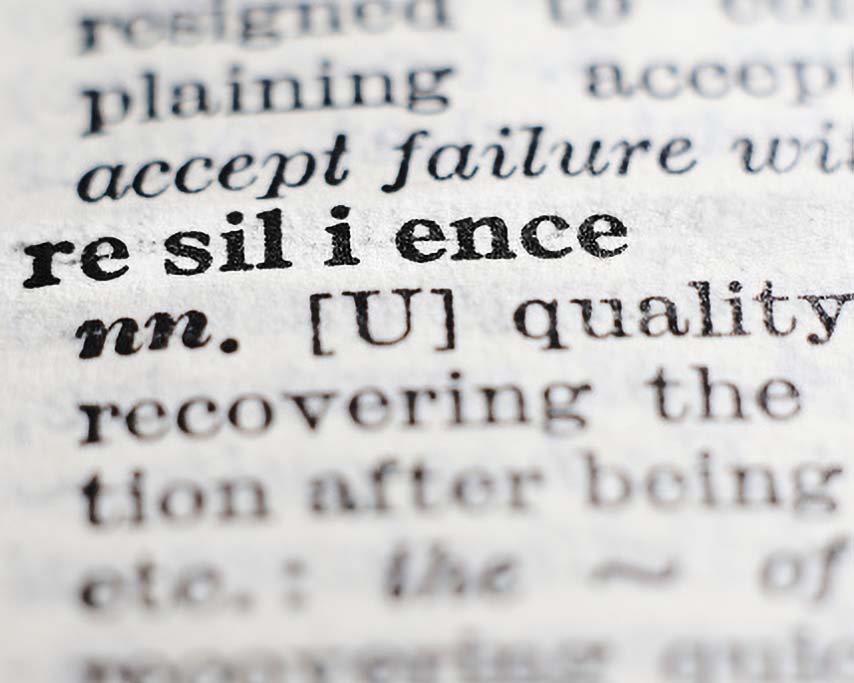 Queen of behaviours building resilience