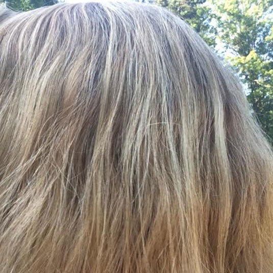 Lush Big Solid Hair Conditioner Review