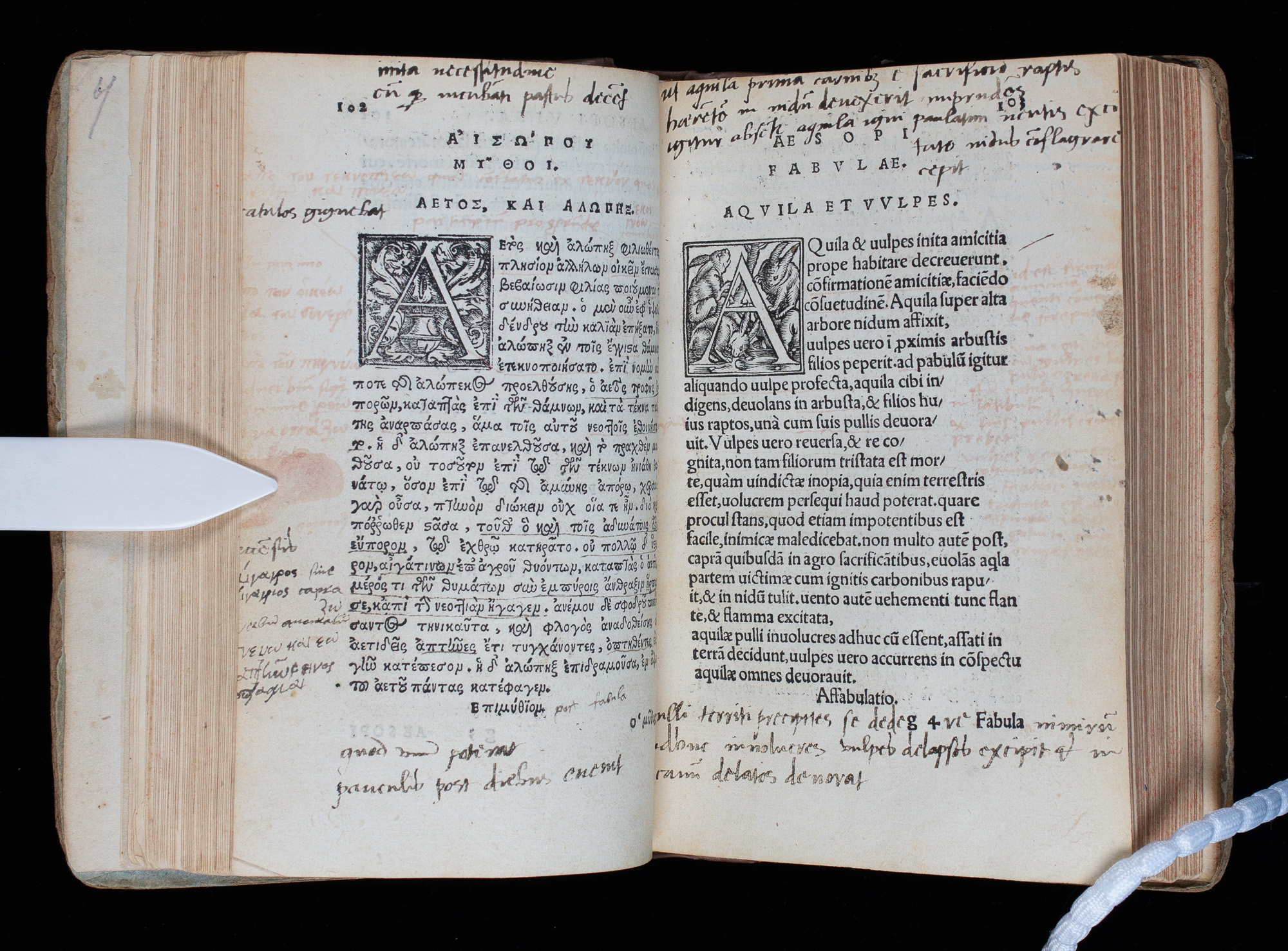 x-017-016-010-1.jpg?fit=1200,