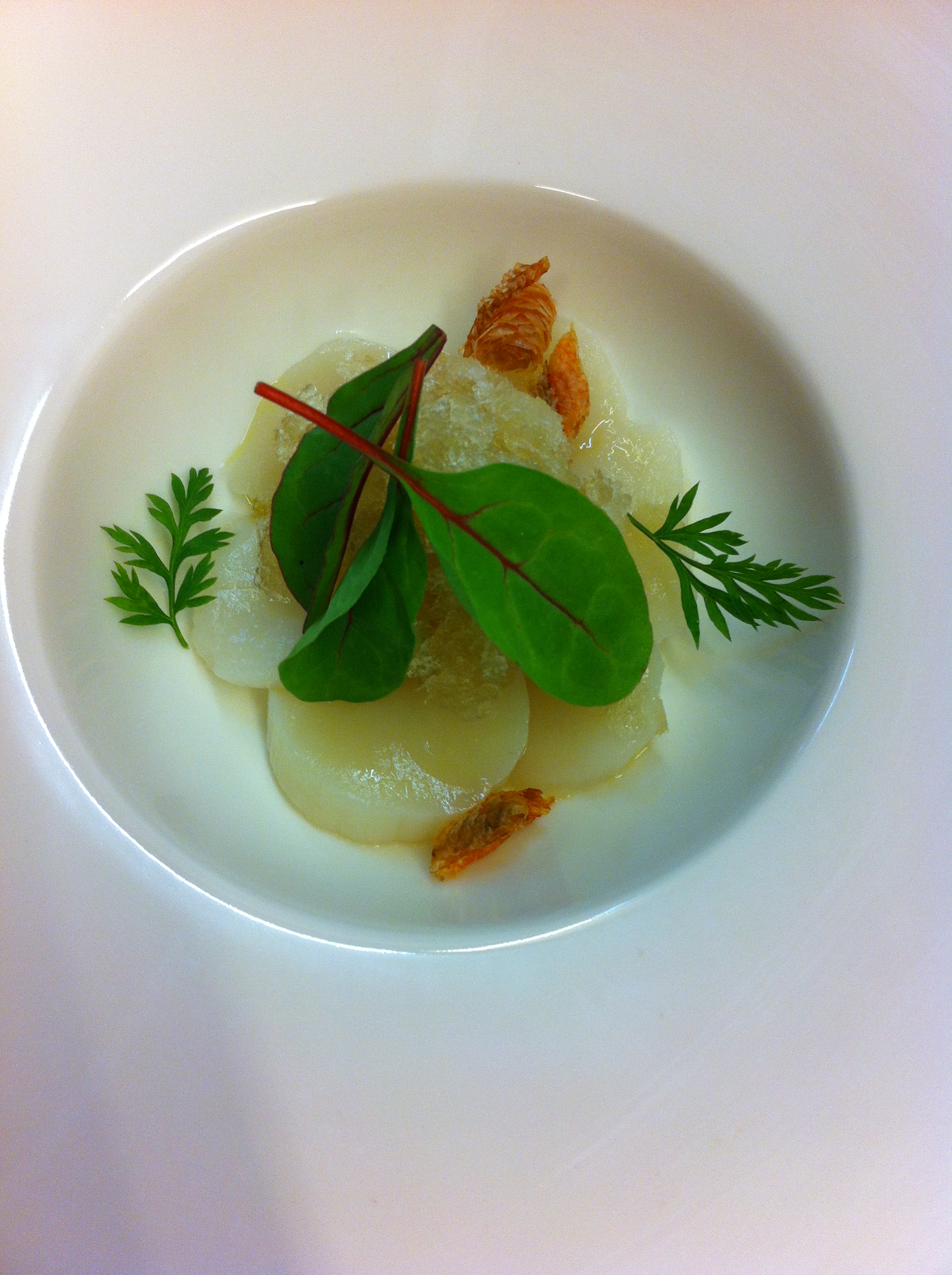 Scallop crudo, maple Ice wine Granite, crisps fish skin.