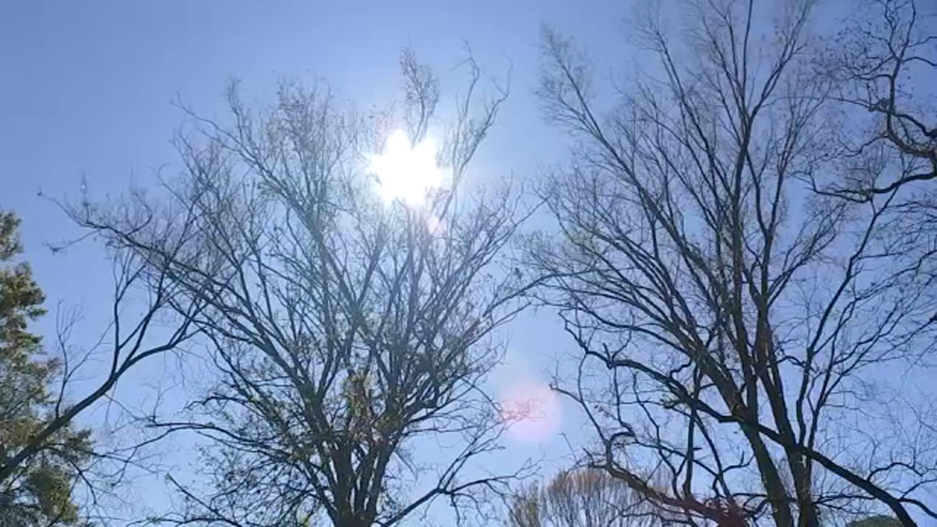Texas power grid operator, ERCOT, issues Weather Watch through Friday due to arctic air
