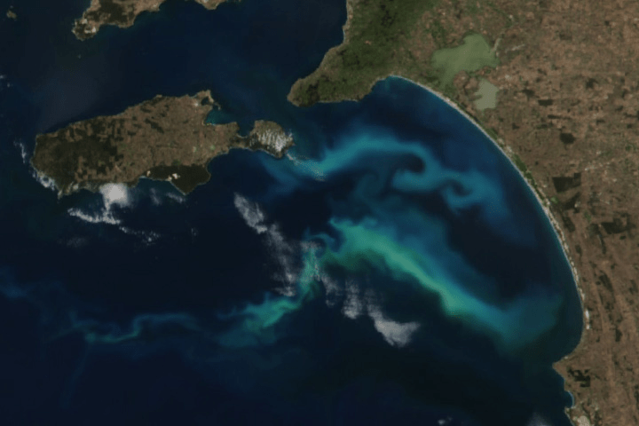 NASA Spots Giant Glowing Ocean Lifeform from Space