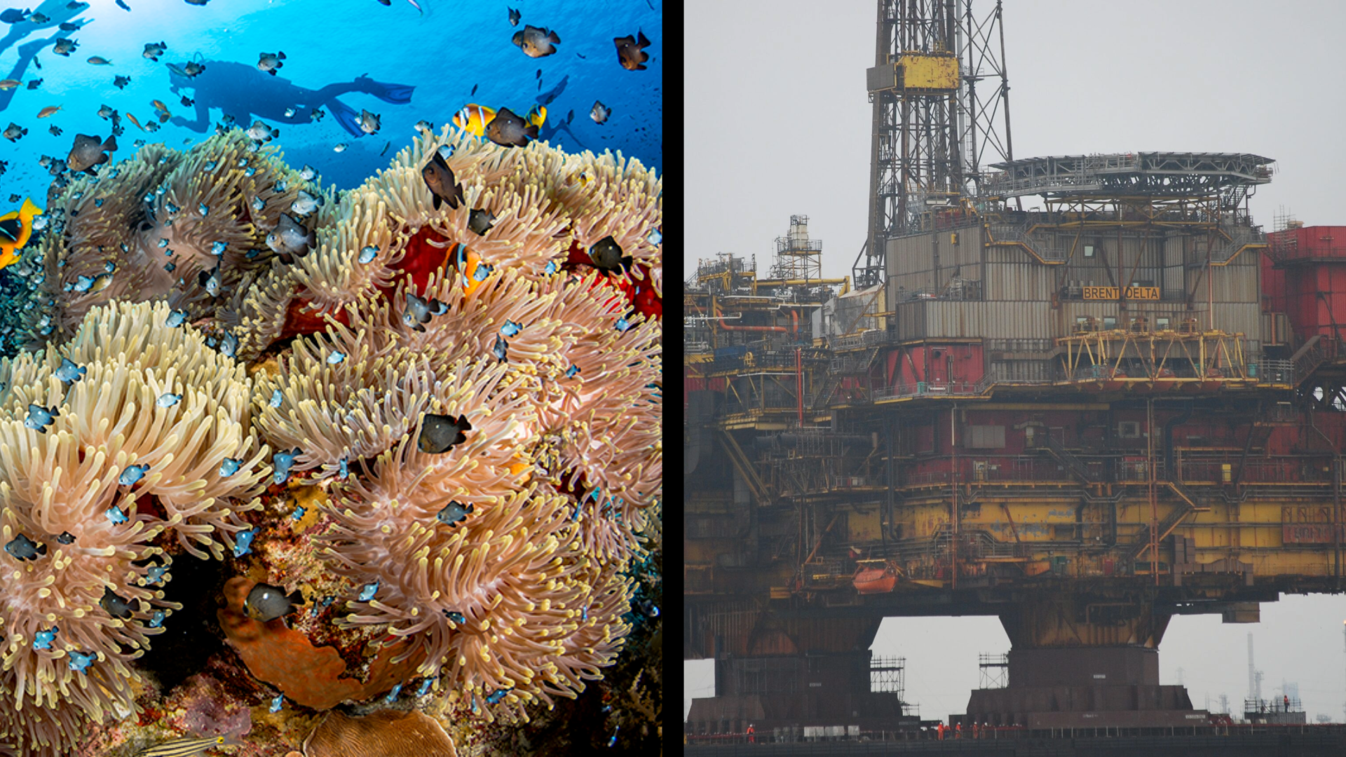 Bipartisan bill aims to turn retired Gulf oil rigs into artificial reefs
