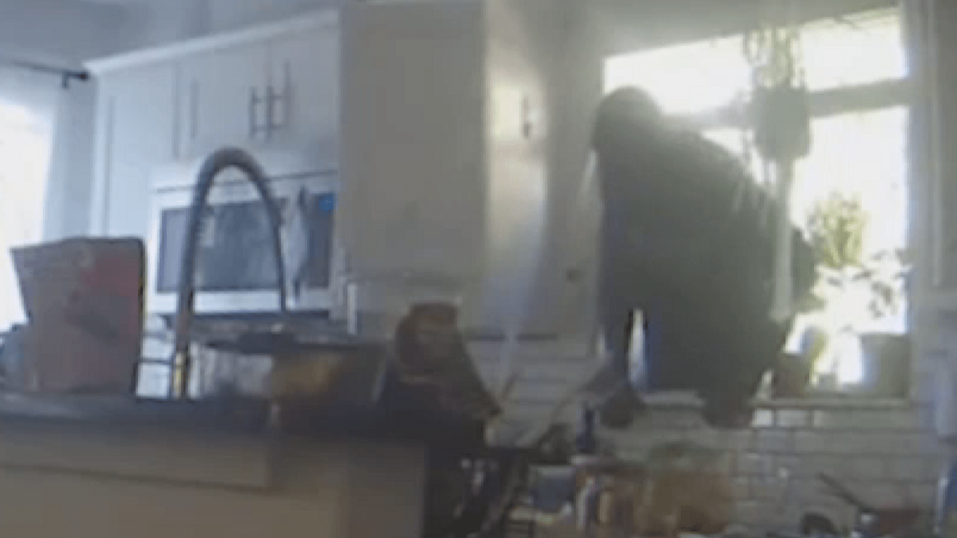 Video shows ‘Spiderman from Hell’ who police believe is responsible for multiple Montrose break-ins