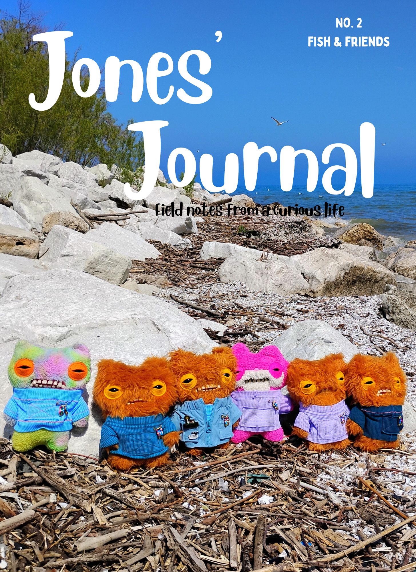 Jones' Journal Issue 2