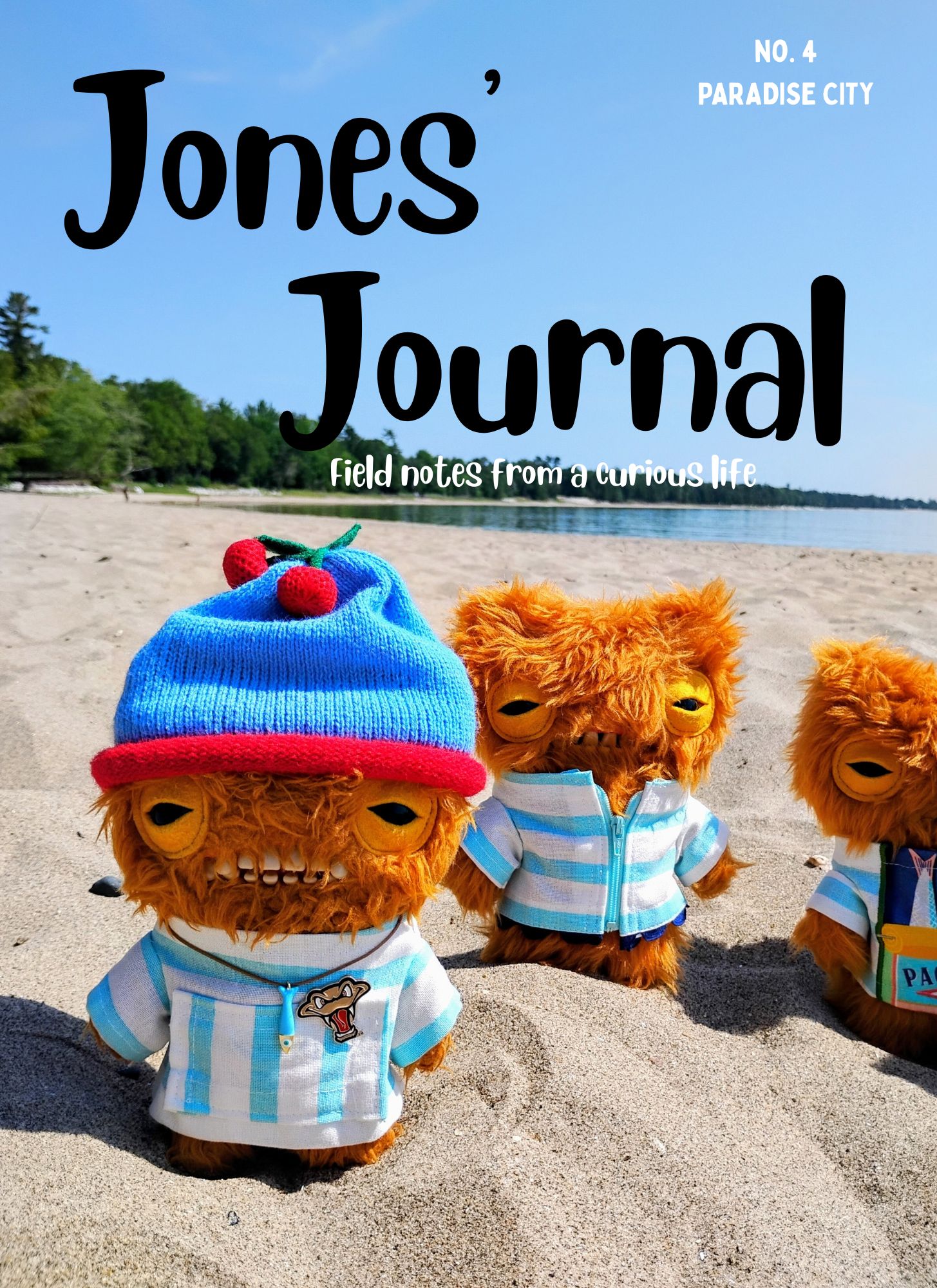 Jones' Journal No. 4