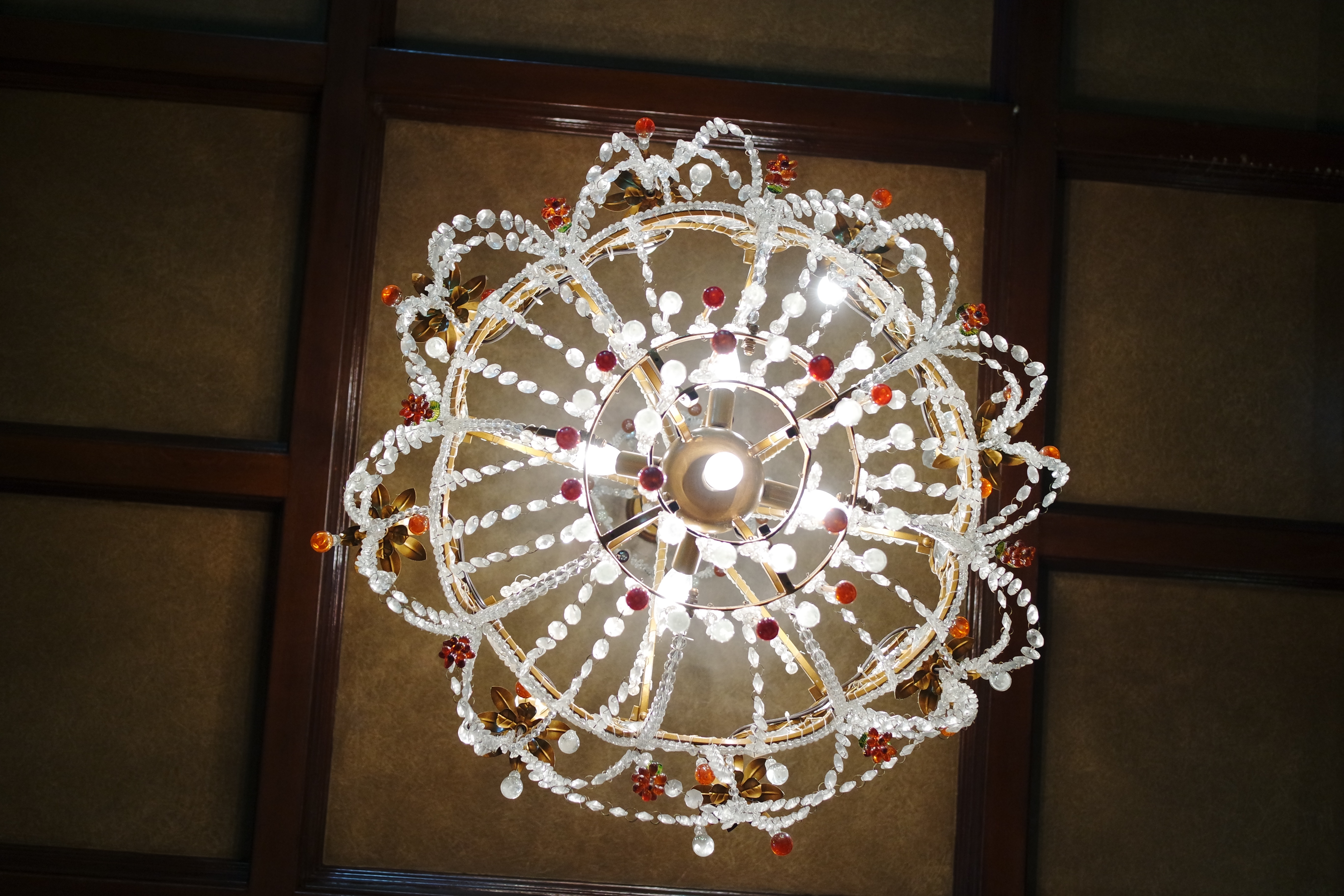 SAMSUNG CAMERA PICTURES