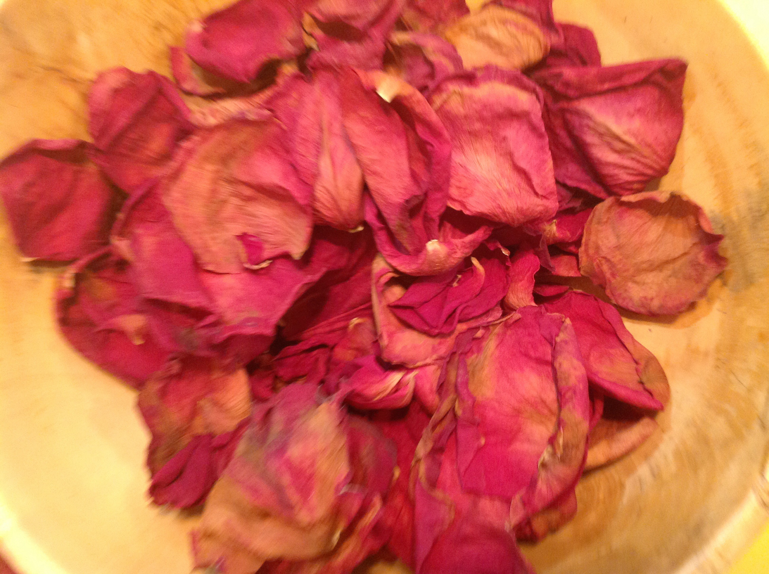 Processed with Rookie Cam