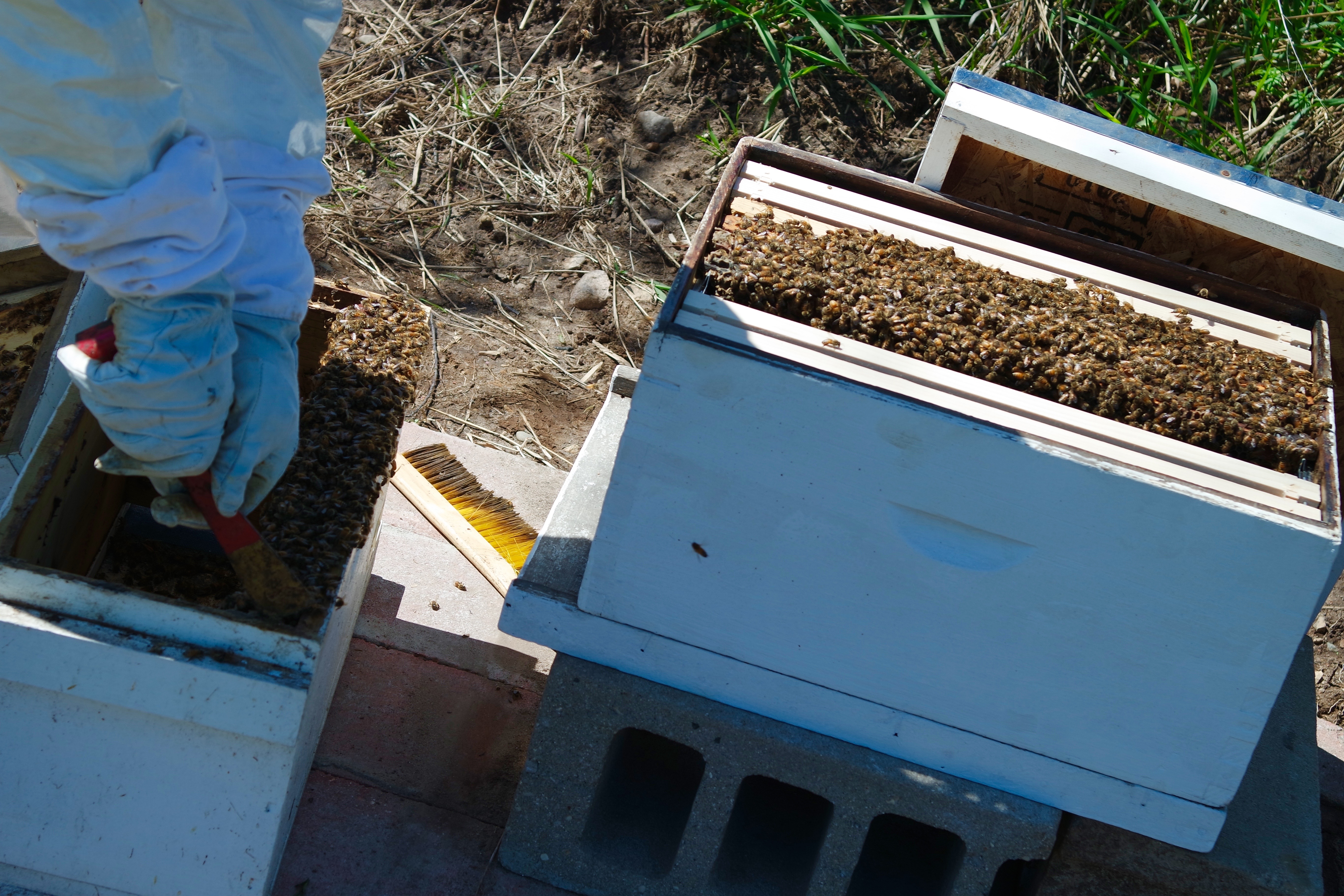 SAMSUNG CAMERA PICTURES