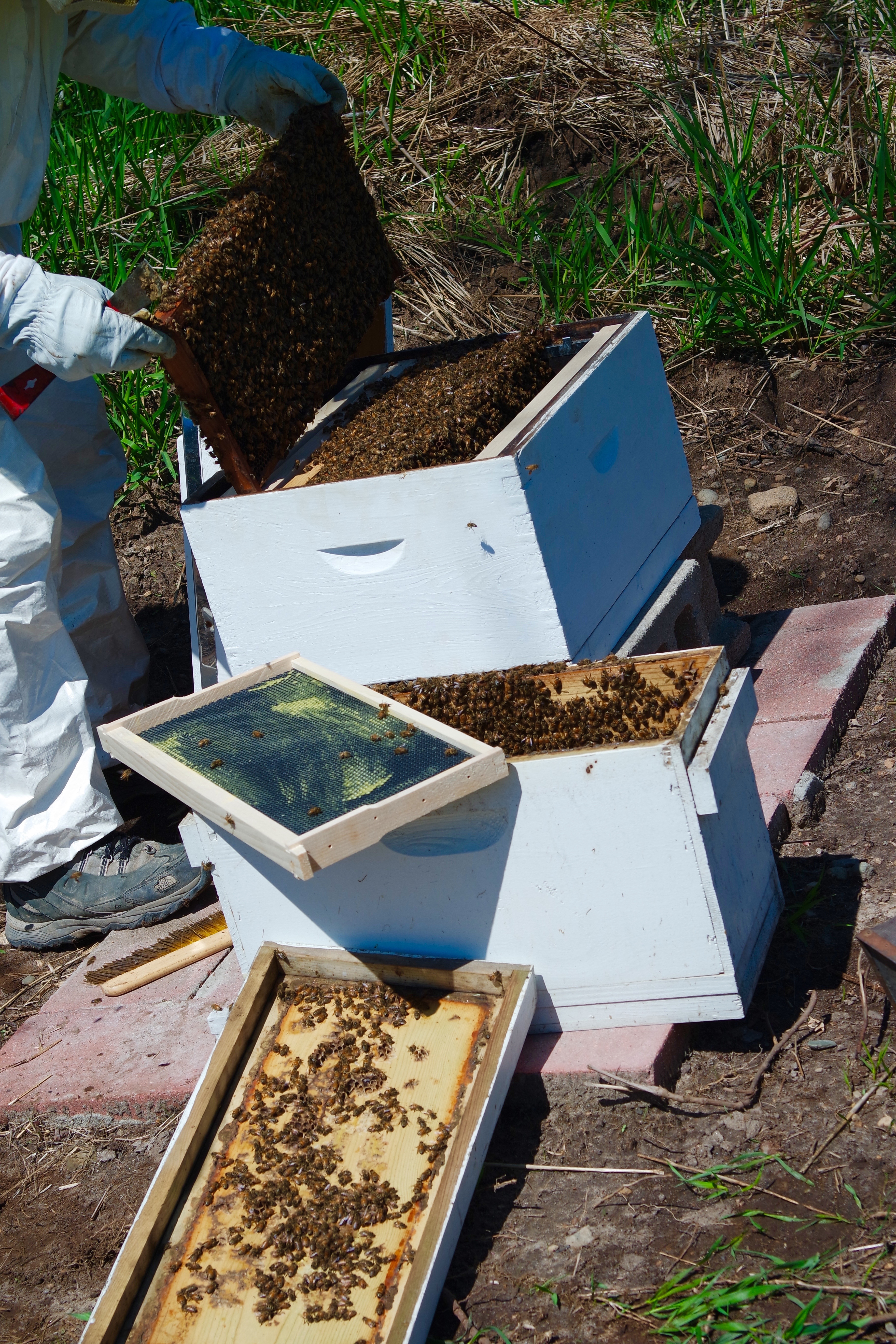 SAMSUNG CAMERA PICTURES