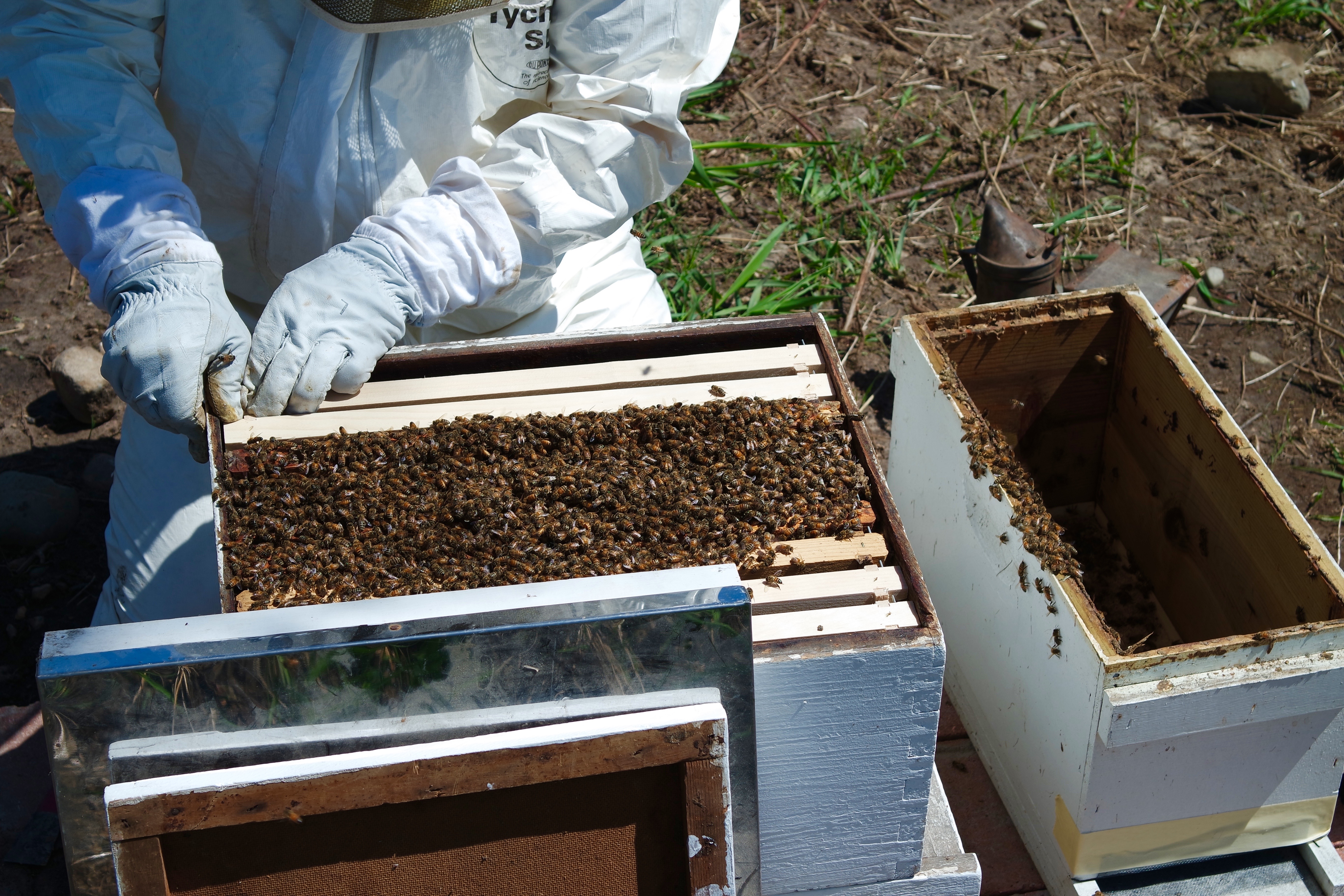 SAMSUNG CAMERA PICTURES