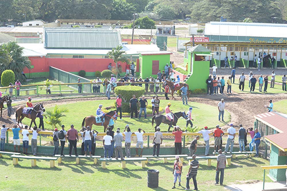 PARADE RING FEB 24 2016