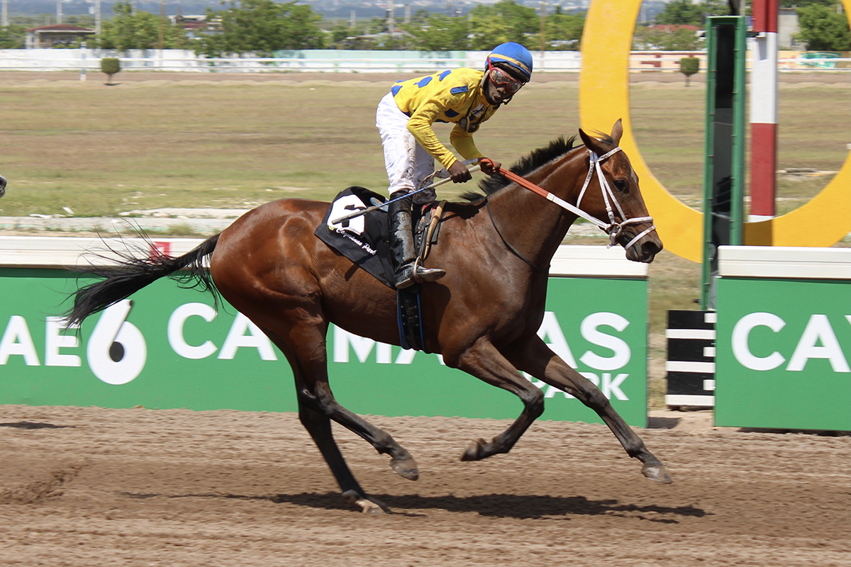 Pharoah It Is - Chris mamdeen (Photo: Kimberly Bartlett)