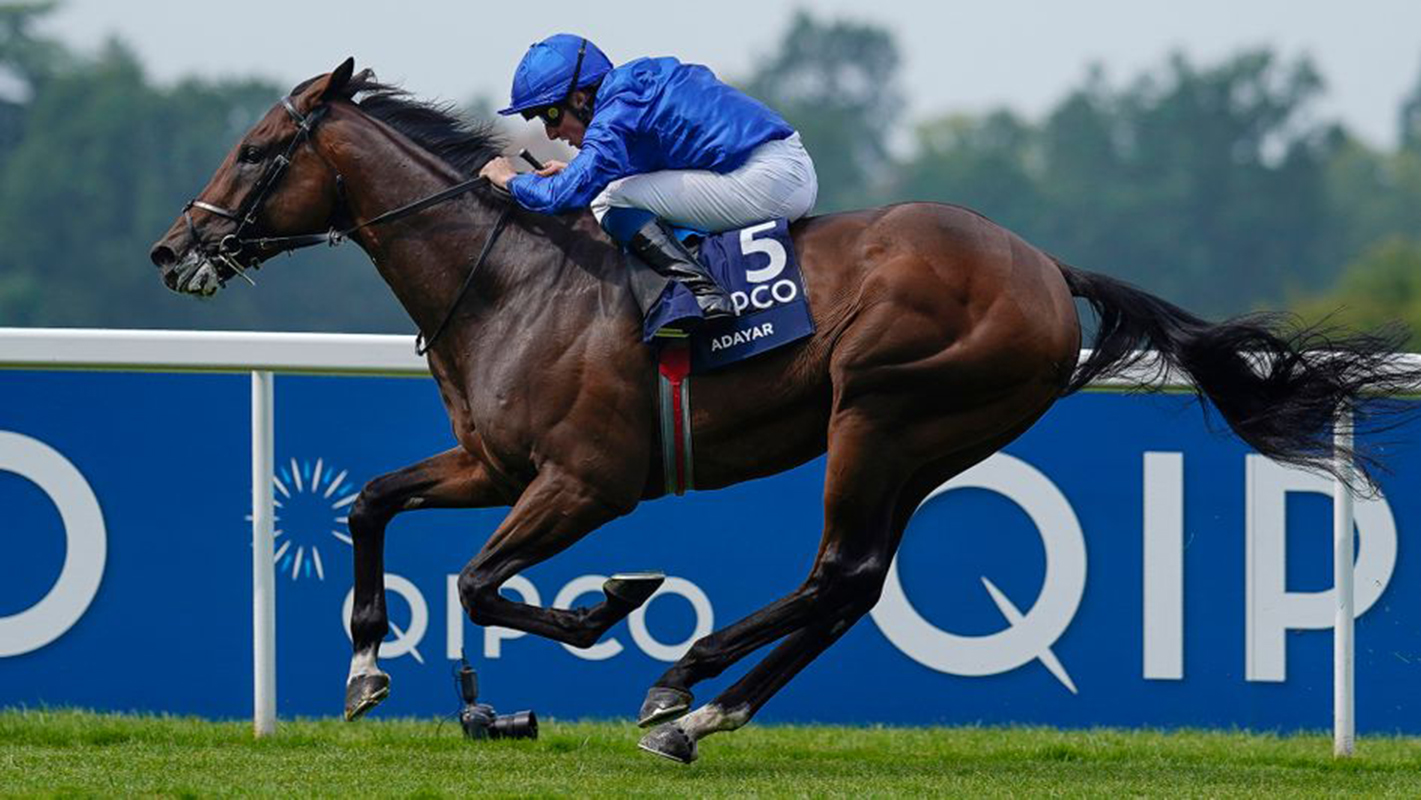Adayar - William Buick