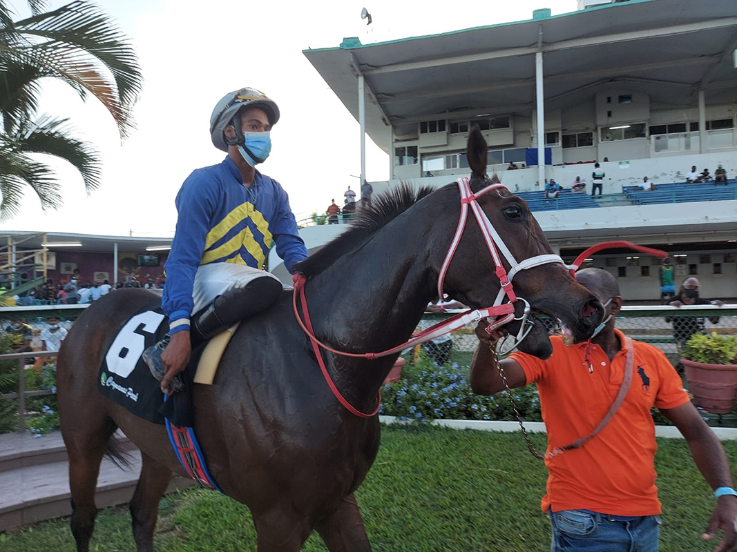 Taurus Boy - Shane Richardson