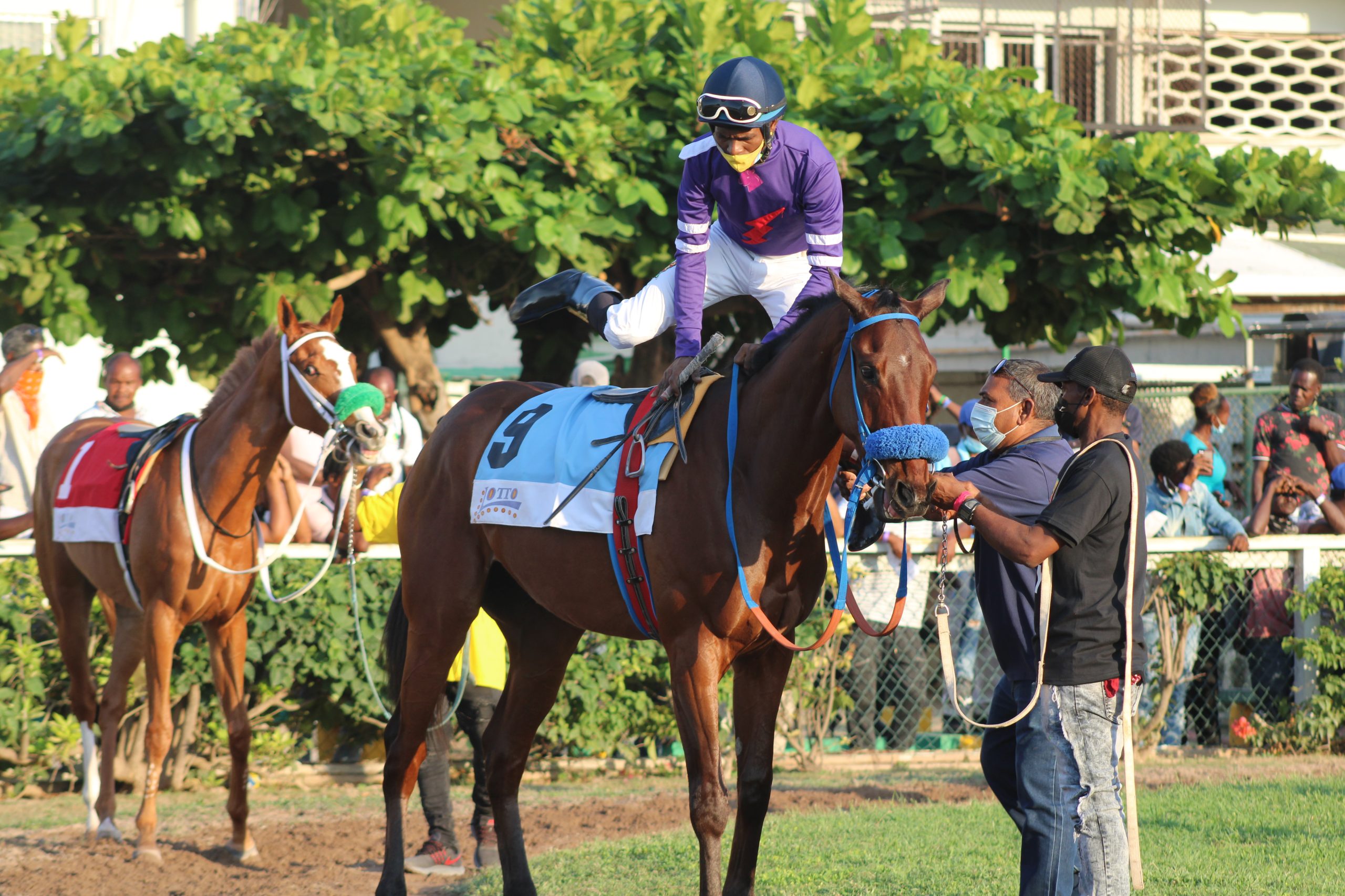Jockey Omar Walker getting atop Brinks. (Photo: Kimberly Bartlett)