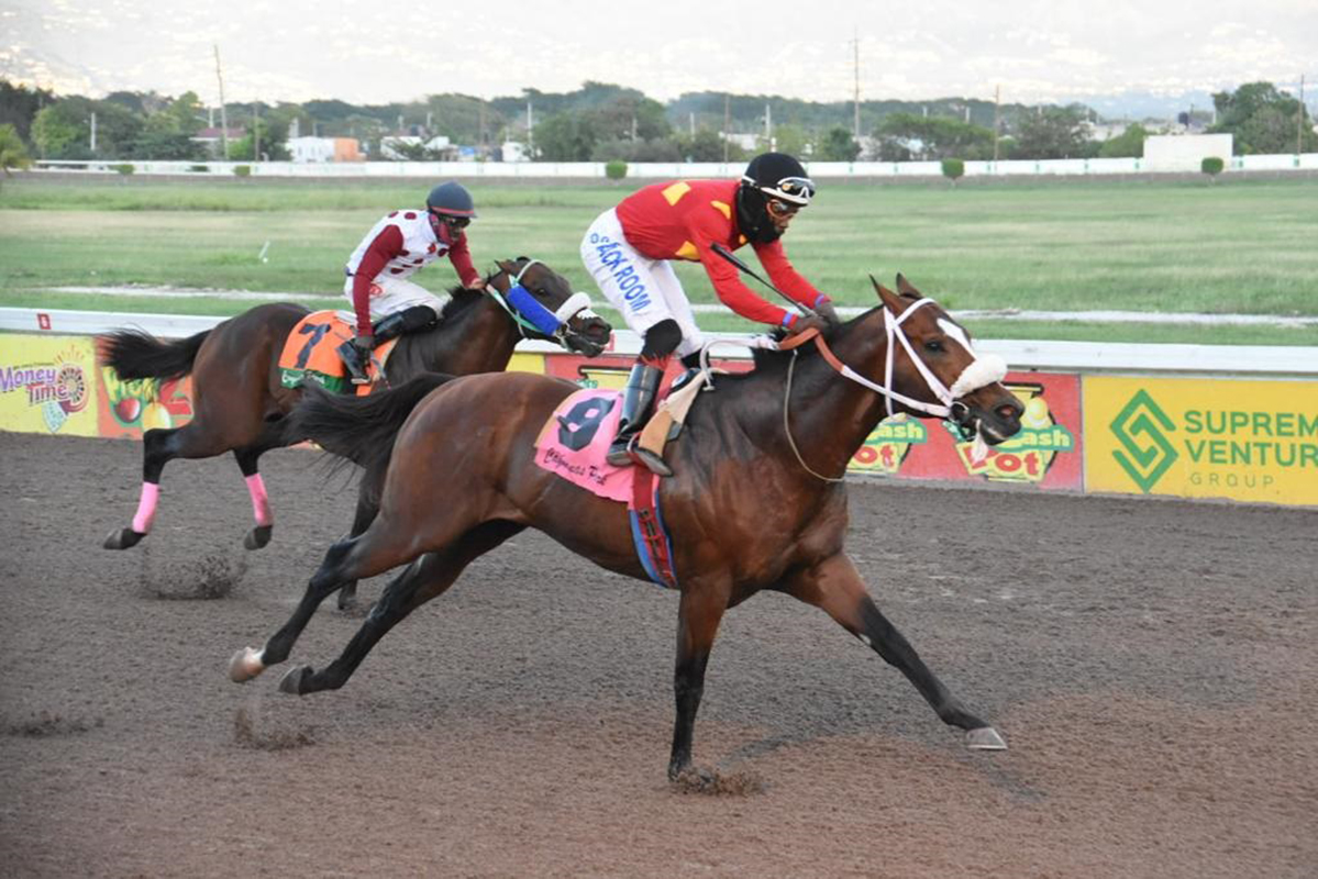 Robert Halledeen on his fourth winner on the day Patriarch.