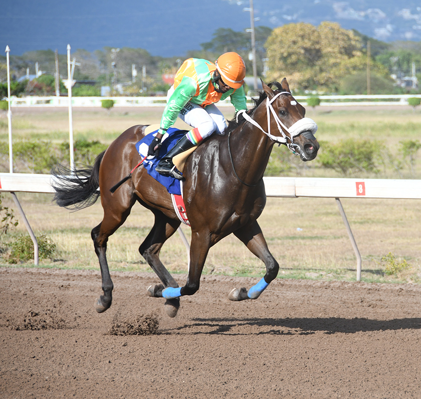 Power Ranking - Dane Nelson