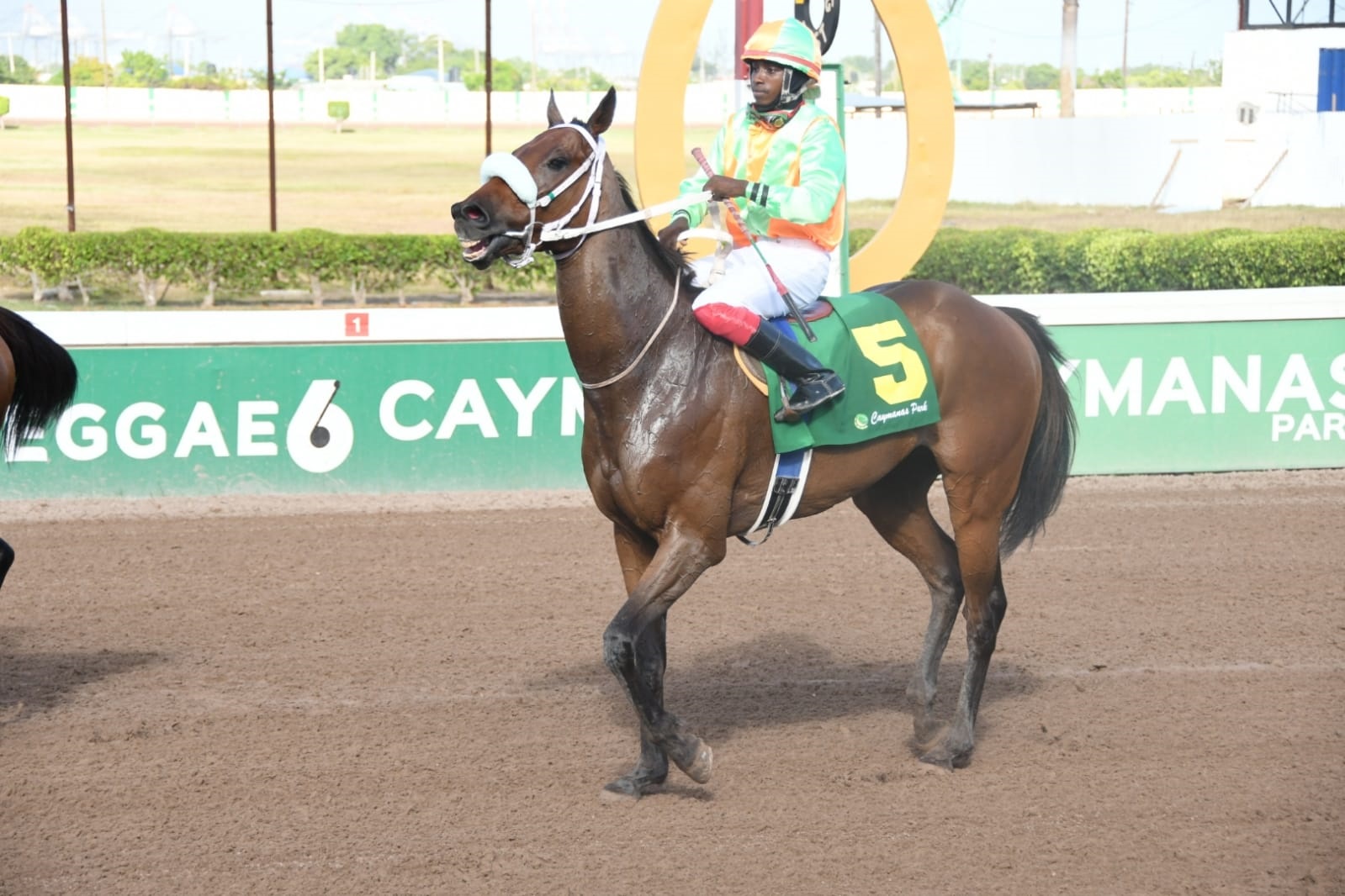 Laban - Dane Dawkins